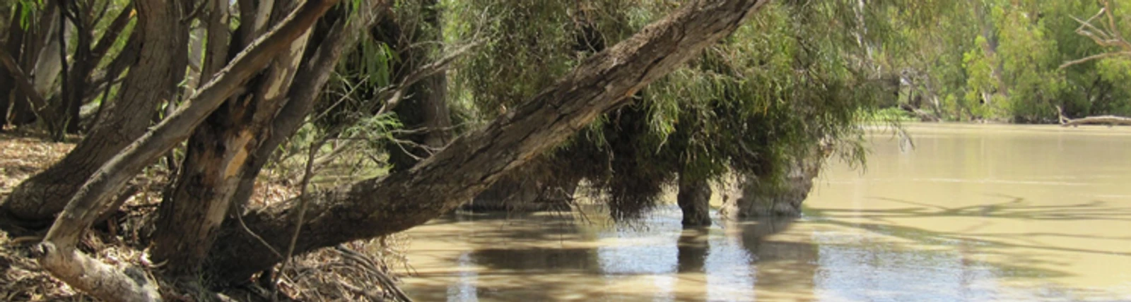 Upper Darling River