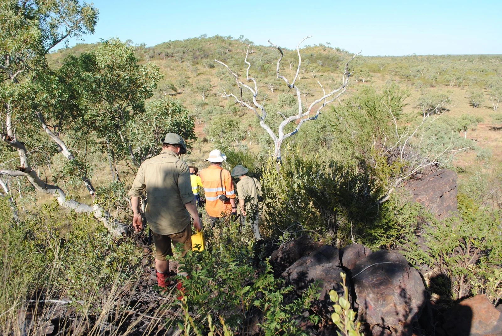 Train Range Ironstone Member on a EFTF field trip in the South Nicholson region